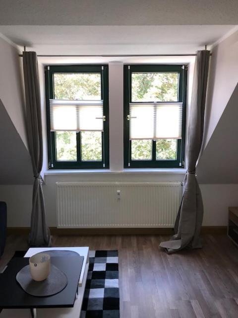 Gaestewohnung Saaleblick Weißenfels 外观 照片